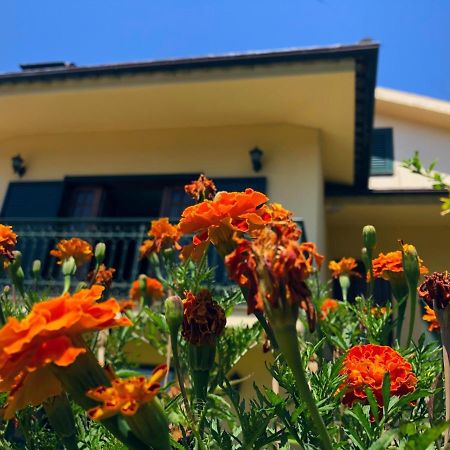 Casa Sao Simao Villa Barcelos Eksteriør bilde