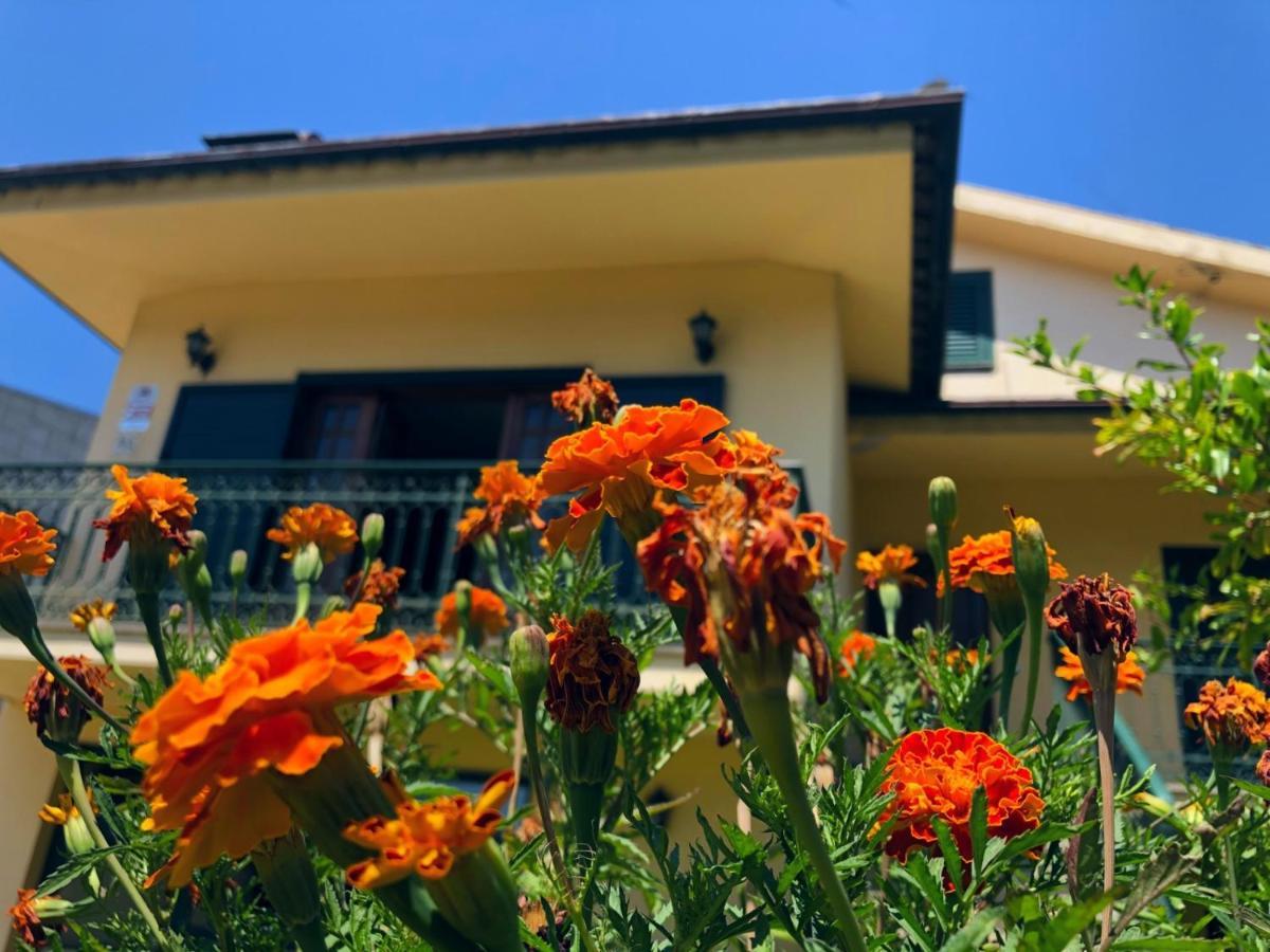 Casa Sao Simao Villa Barcelos Eksteriør bilde